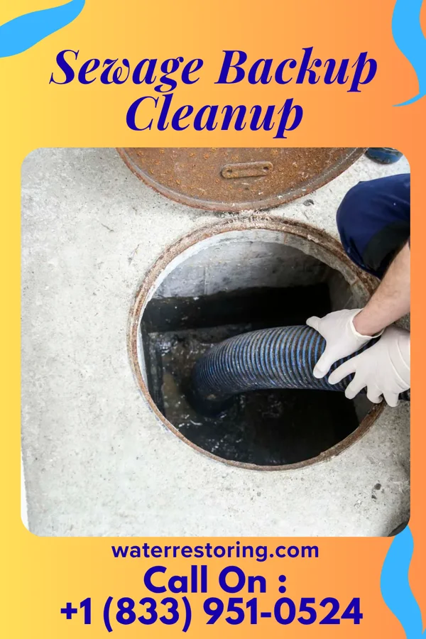 Sewage Backup Cleanup in New Harmony, IN